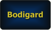 Bodigard